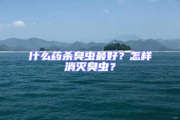 什么藥殺臭蟲最好？怎樣消滅臭蟲？