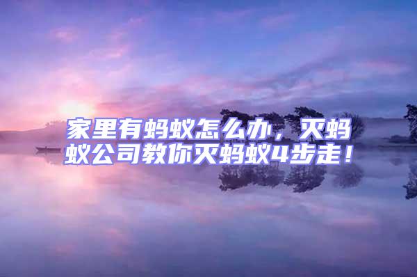 家里有螞蟻怎么辦，滅螞蟻公司教你滅螞蟻4步走！