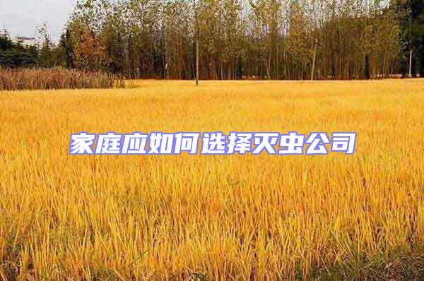 家庭應(yīng)如何選擇滅蟲公司