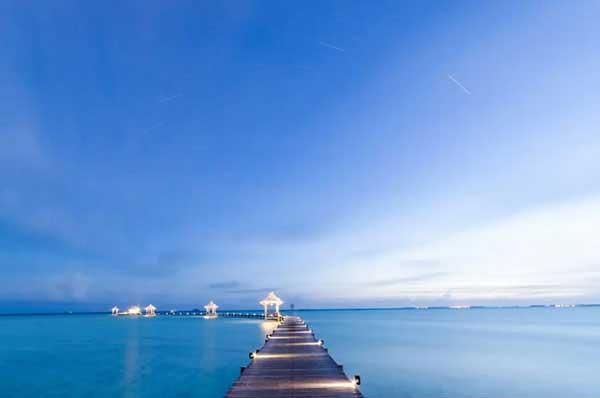 抓老鼠再也不是難題因為有滅老鼠公司