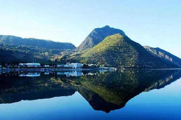 辦公室發(fā)現(xiàn)老鼠怎么辦？滅鼠公司出高招