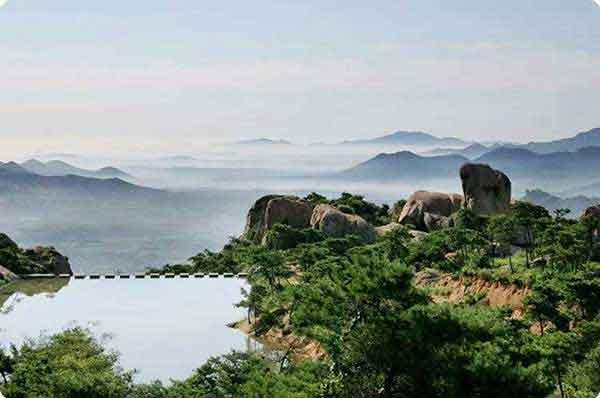 深圳白蟻防治:房屋裝修,哪些部位成為白蟻危害的重點部位