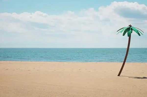 深圳白蟻防治：預防為主、防治結合、綜合治理