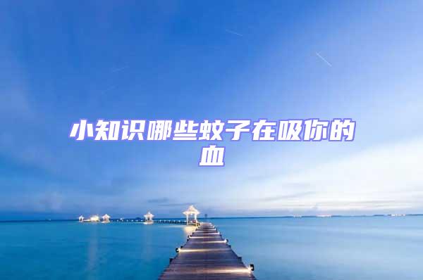 小知識哪些蚊子在吸你的血