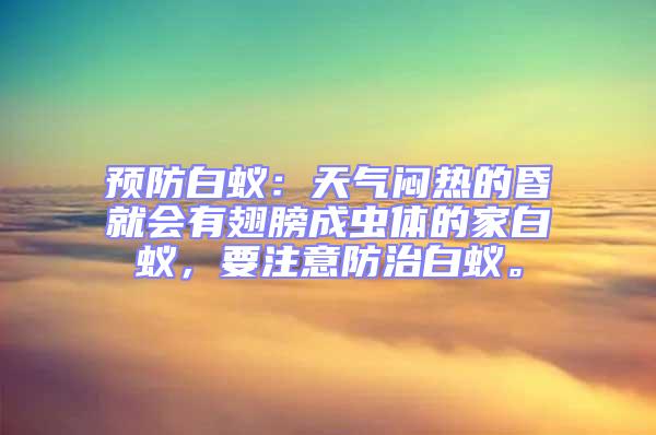 預防白蟻：天氣悶熱的昏就會有翅膀成蟲體的家白蟻，要注意防治白蟻。