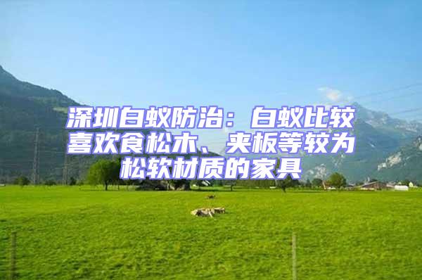 深圳白蟻防治：白蟻比較喜歡食松木、夾板等較為松軟材質的家具