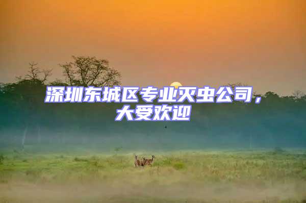 深圳東城區專業滅蟲公司，大受歡迎