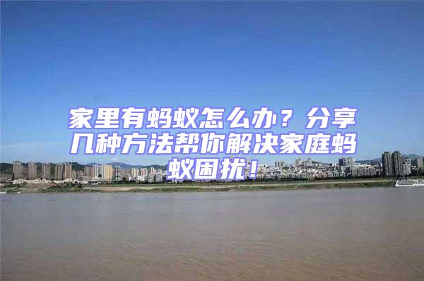 家里有螞蟻怎么辦？分享幾種方法幫你解決家庭螞蟻困擾！