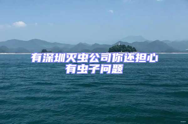 有深圳滅蟲公司你還擔心有蟲子問題