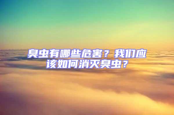 臭蟲有哪些危害？我們應該如何消滅臭蟲？