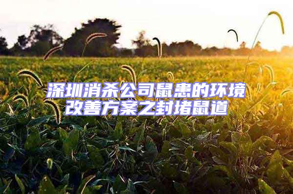 深圳消殺公司鼠患的環境改善方案之封堵鼠道