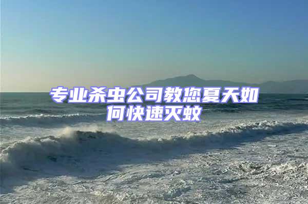 專業殺蟲公司教您夏天如何快速滅蚊