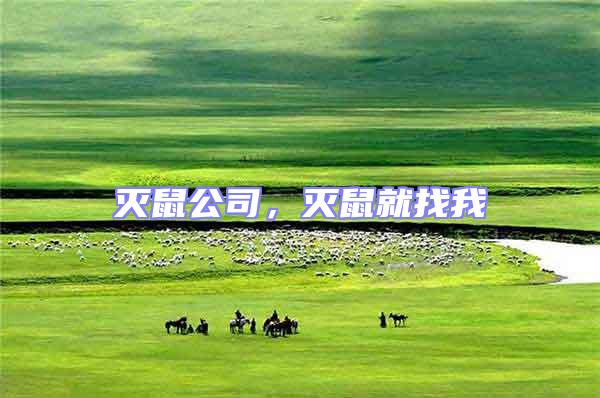 滅鼠公司，滅鼠就找我