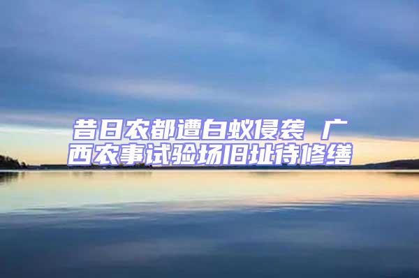 昔日農(nóng)都遭白蟻侵襲 廣西農(nóng)事試驗(yàn)場(chǎng)舊址待修繕