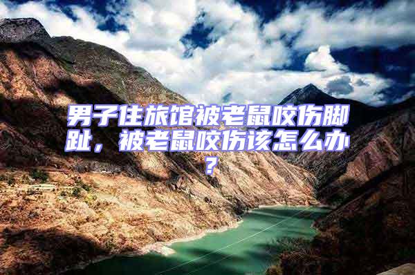 男子住旅館被老鼠咬傷腳趾，被老鼠咬傷該怎么辦？