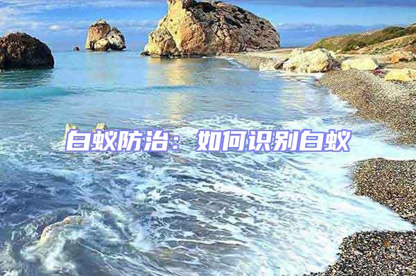 白蟻防治:如何識別白蟻