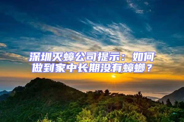 深圳滅蟑公司提示:如何做到家中長期沒有蟑螂?