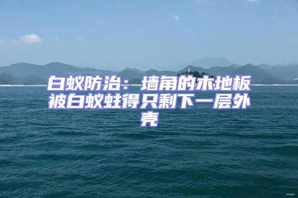 白蟻防治：墻角的木地板被白蟻蛀得只剩下一層外殼