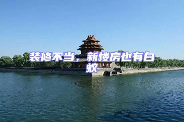 裝修不當(dāng),新樓房也有白蟻