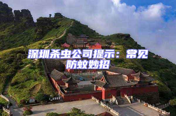 深圳殺蟲公司提示：常見防蚊妙招