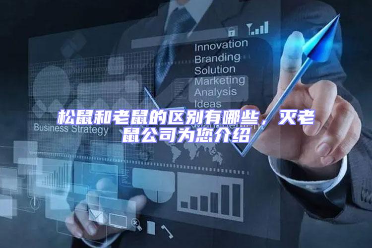 松鼠和老鼠的區別有哪些,滅老鼠公司為您介紹