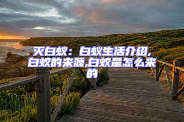 滅白蟻:白蟻生活介紹,白蟻的來源,白蟻是怎么來的