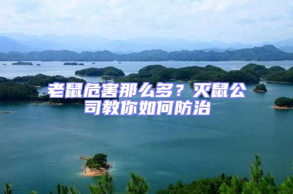 老鼠危害那么多？滅鼠公司教你如何防治