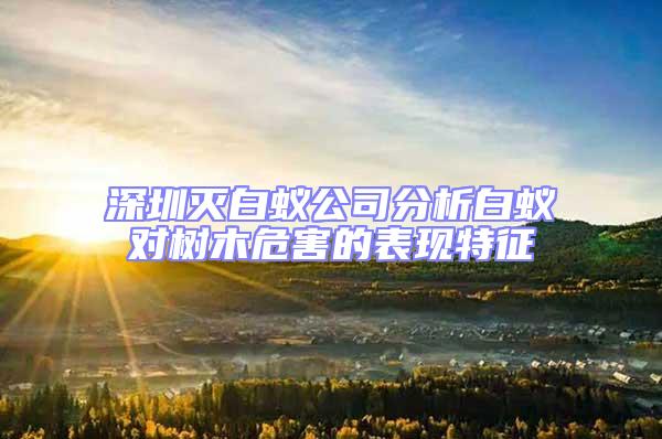 深圳滅白蟻公司分析白蟻對樹木危害的表現特征