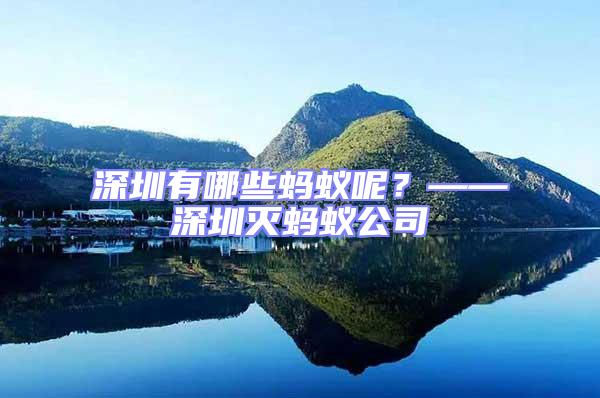 深圳有哪些螞蟻呢？——深圳滅螞蟻公司