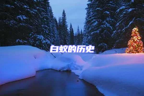 白蟻的歷史
