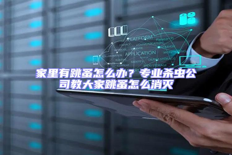 家里有跳蚤怎么辦？專業殺蟲公司教大家跳蚤怎么消滅