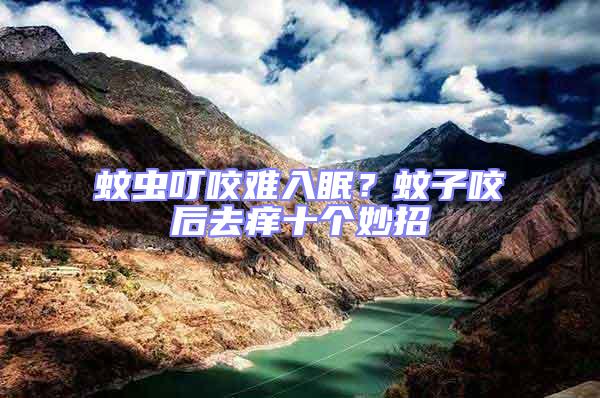 蚊蟲叮咬難入眠?蚊子咬后去癢十個(gè)妙招