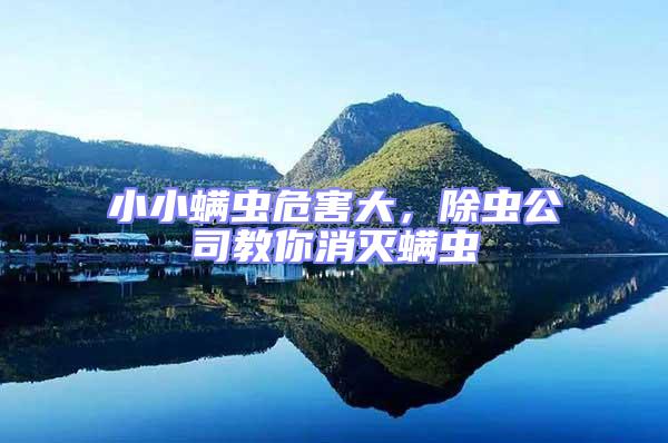 小小螨蟲危害大，除蟲公司教你消滅螨蟲