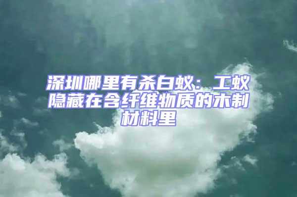 深圳哪里有殺白蟻：工蟻隱藏在含纖維物質(zhì)的木制材料里