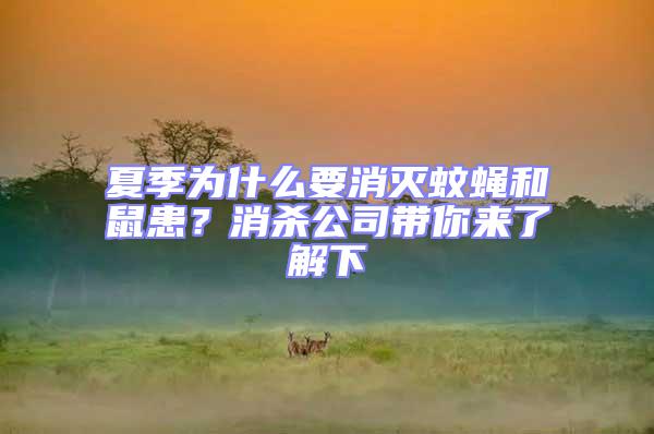 夏季為什么要消滅蚊蠅和鼠患？消殺公司帶你來(lái)了解下