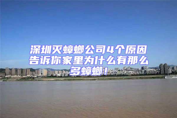 深圳滅蟑螂公司4個原因告訴你家里為什么有那么多蟑螂！