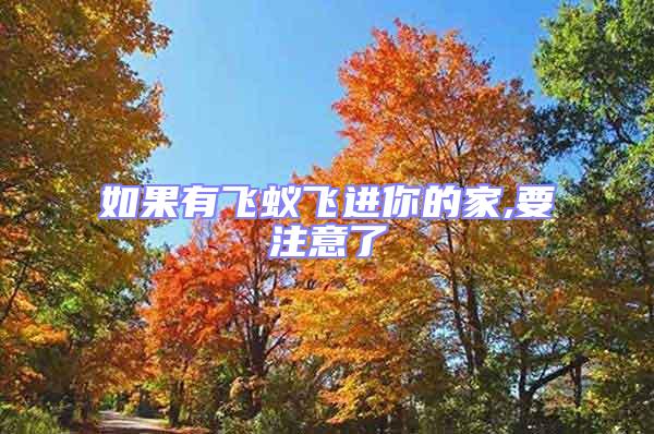 如果有飛蟻飛進(jìn)你的家,要注意了