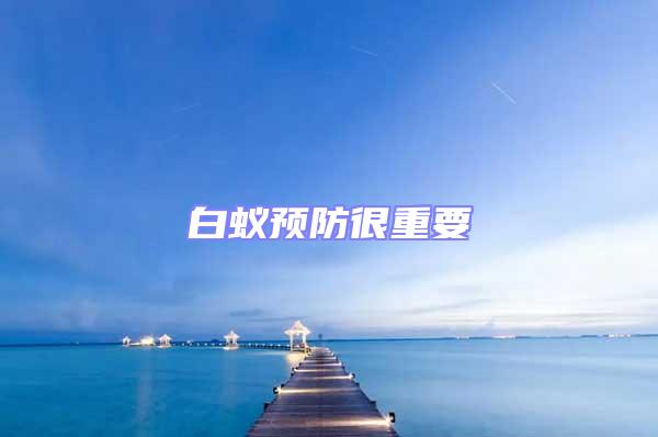 白蟻預防很重要