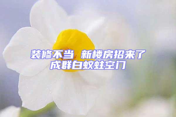 裝修不當(dāng) 新樓房招來(lái)了成群白蟻蛀空門(mén)