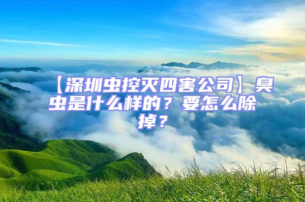 【深圳蟲控滅四害公司】臭蟲是什么樣的？要怎么除掉？