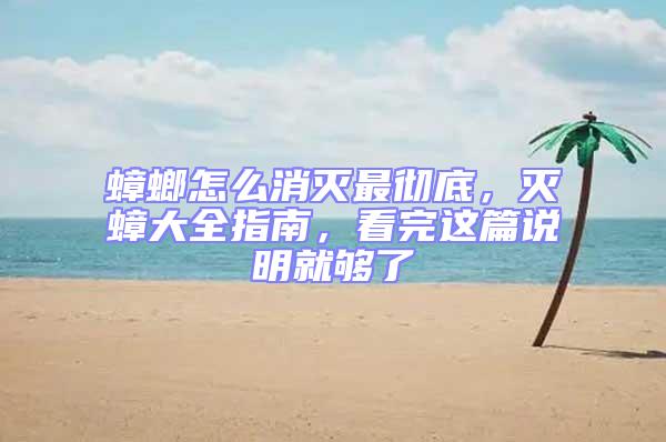 蟑螂怎么消滅最徹底，滅蟑大全指南，看完這篇說明就夠了