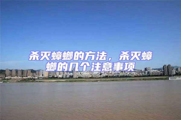 殺滅蟑螂的方法，殺滅蟑螂的幾個注意事項