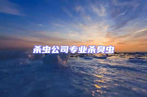 殺蟲公司專業殺臭蟲