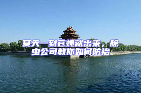 夏天一到蒼蠅就出來(lái)，除蟲(chóng)公司教你如何防治
