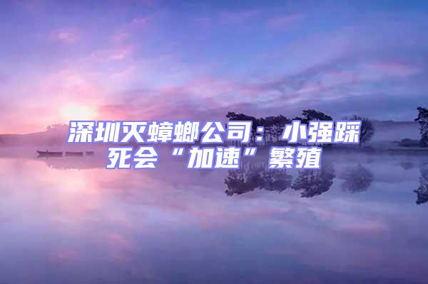 深圳滅蟑螂公司:小強踩死會“加速”繁殖