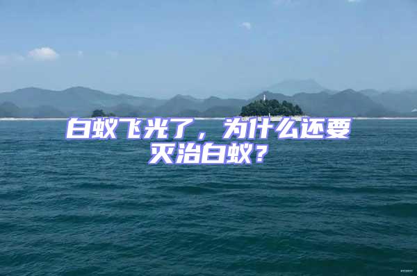 白蟻飛光了，為什么還要滅治白蟻？