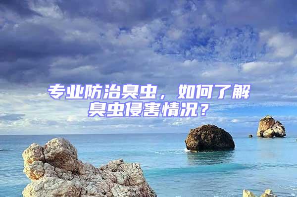 專業防治臭蟲，如何了解臭蟲侵害情況？