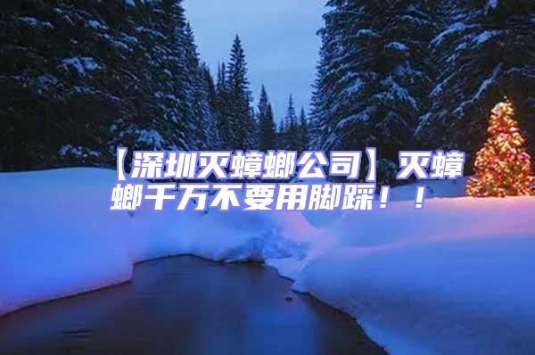 【深圳滅蟑螂公司】滅蟑螂千萬不要用腳踩!!