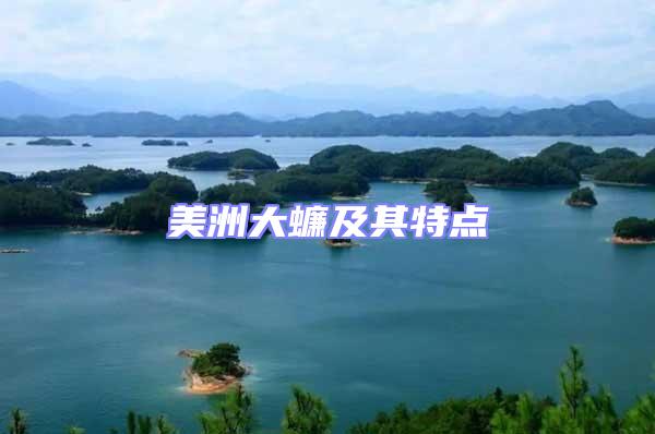 美洲大蠊及其特點