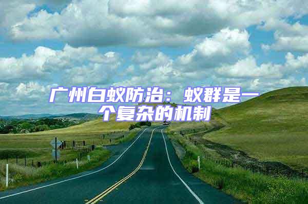 廣州白蟻防治：蟻群是一個復雜的機制